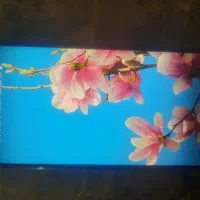 y9 2119رم ۴حافظه ۶۴