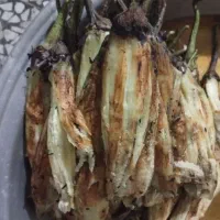 پیاز و سبزی سرخ شده بادمجان کبابی