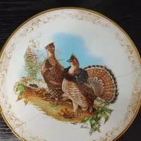 بشقاب کلکسیونی وارداتی