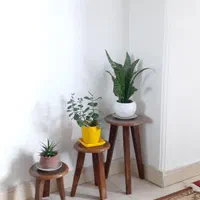 زیر گلدونی استند گل