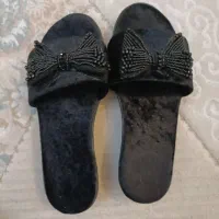 دمپایی مجلسی وپوتین|کیف، کفش، کمربند|اردبیل, |دیوار