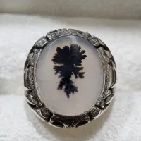 شجر تک درخت قائن