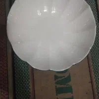 ضروف غذا خوری