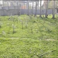 فروش زمین مسکونی سند دار شهر کلاردشت لاهو خ کلار|فروش زمین و ملک کلنگی|کلاردشت, |دیوار