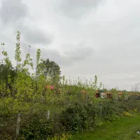 ۶۱۳ متر زمین داخل طرح هادی در اطراف لاهیجان|فروش زمین و ملک کلنگی|لاهیجان, آهندان|دیوار
