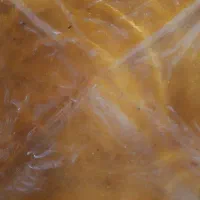 لواشک خانگی ملس