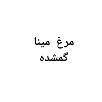 مرغ مینا