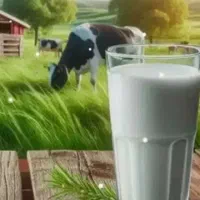 لبنیات جلیلوند