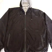 عروس هلندی|پرنده|سرپل ذهاب, |دیوار