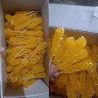 نبات شاخه نبات چوبی
