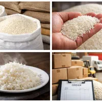 تامین برنج شمالی اعلا/قیمت‌همکاری /ارسال‌سراسرکشور