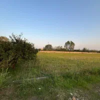 زمین 2.7 هکتاری بر اتوبان بابل قائمشهر|فروش دفتر صنعتی، کشاورزی، تجاری|بابل, |دیوار