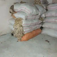 یون (پشم گوسفند)