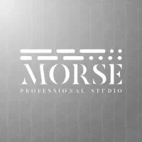 تولید محتوا حرفه ای