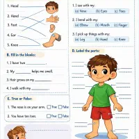 آموزش زبان خصوصی