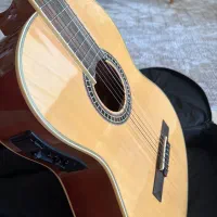 گیتار برگمولر