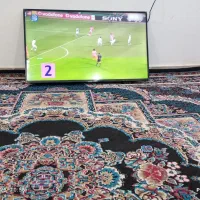 تلوزیون هایسنس 49اینج