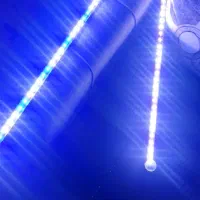 فروش آکواریوم با تمام تجهیزات|ماهی|پاکدشت, حصار امیر|دیوار