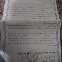 زمین قصرهلال..گلبهار