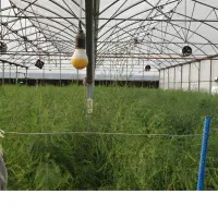 زمین زراعی با مجوز دیوار کشی و امتیازات|فروش دفتر صنعتی، کشاورزی، تجاری|مشهد, درزآب|دیوار