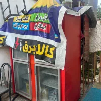 فریزر ایستاده صنعتی