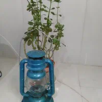 فانوس در حد نو سالم سالم