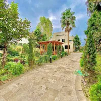 حیاط-دار-و-نما-سنگ-درختان-چند-ساله-حومه-نور