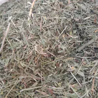 علف همه گیاه|لوازم جانبی حیوانات|دهگلان, |دیوار