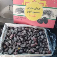 ۴تن خرما کلوته جیرفت درجه یک صادراتی