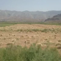 دروگر مدل۷۷ اصل ایتالیایی با ۳تا جلوبندی|خودرو سنگین|زنجان, |دیوار