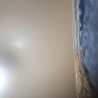 سفیدکاری و لکه کیری ساختمان،آستر گچ و سیمان