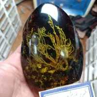 کهربا غیر طبیعی 218گرم