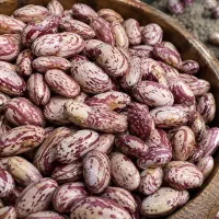 لوبیا چیتی تر و تمیز