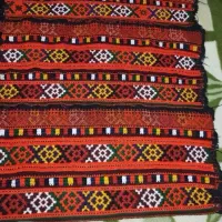 زیاستین شیک