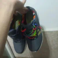 zxفلوکس|کیف، کفش، کمربند|قدس, شهر‌قدس|دیوار