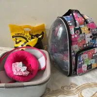 ملزومات گربه