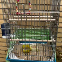 قفس قدیمی مهکم