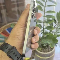 سامسونگ s24fe|موبایل|تربتحیدریه, پایانه مسافربری تربت حیدریه|دیوار