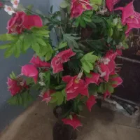 سلام گل مصنوعی