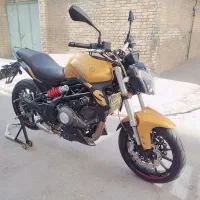 بنلی 300 درحد صفر