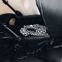 سرویس کامل کالسکه