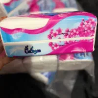 دستمال کاغذی مستقیم از کارخانه عمده|مواد شوینده و دستمال کاغذی|تبریز, |دیوار