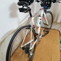 دوچرخه حرفه ای|دوچرخه، اسکیت، اسکوتر|مشهد, ابوذر|دیوار