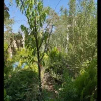 ویلای مبله خانوادگی|اجارهٔ خانه و ویلا|شاندیز, |دیوار