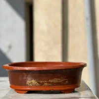 گلدان بنسای|گل و گیاه طبیعی|تهران, ایران|دیوار