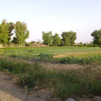 زمین و باغ با چاه عمیق مناسب گلخانه و مرغداری