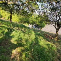 فروش زمین 300متری|فروش زمین و ملک کلنگی|نشتارود, |دیوار