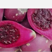 میوه کاکتوس