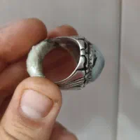 شجر پایه زنجان|جواهرات|بندر کنگان, |دیوار