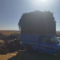 خرید و فروش نوار تیپ نوار قطره ای|عمده‌فروشی|سنندج, |دیوار